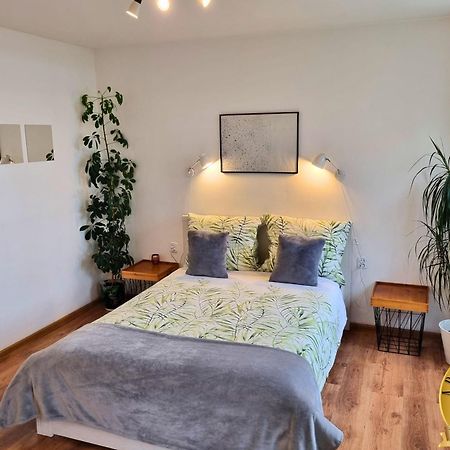 Apartamenty Boleslawiec Spoldzielcza Free Parking Exteriör bild